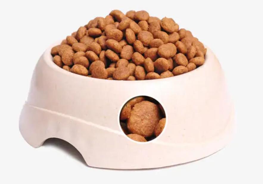 印度恒河用网抓清道夫,清道夫恒河印度