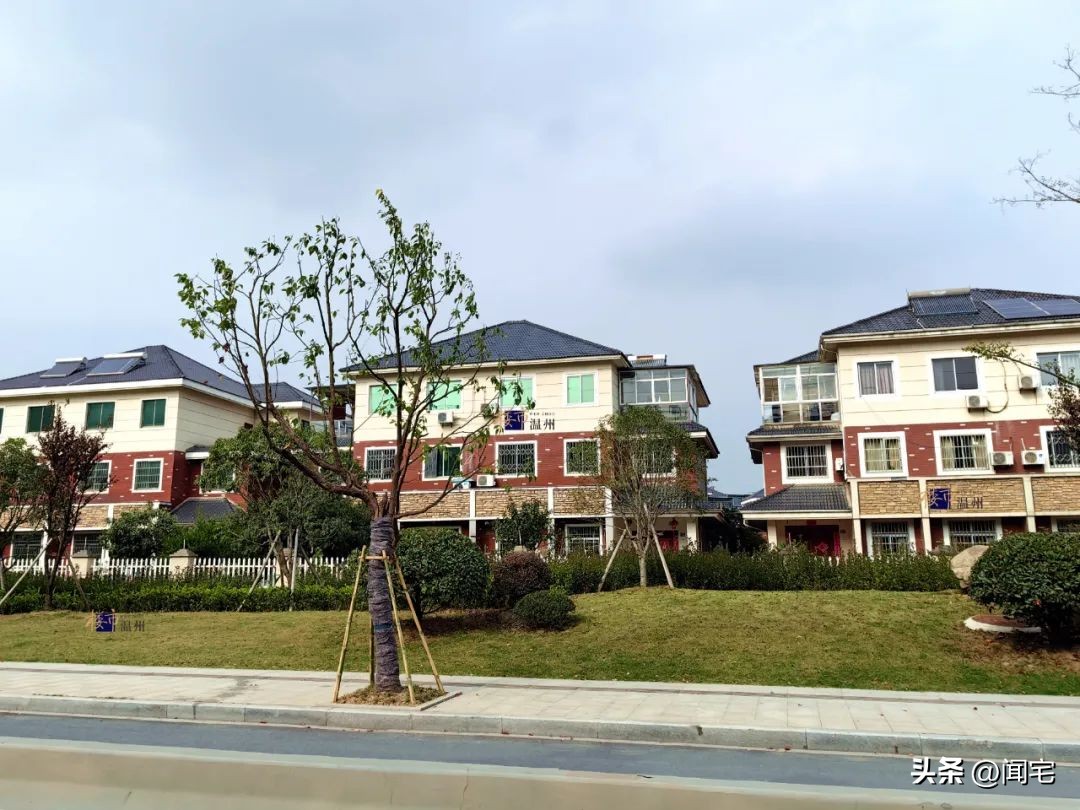 临安投资客都亏了吗,温州投资客深陷临安