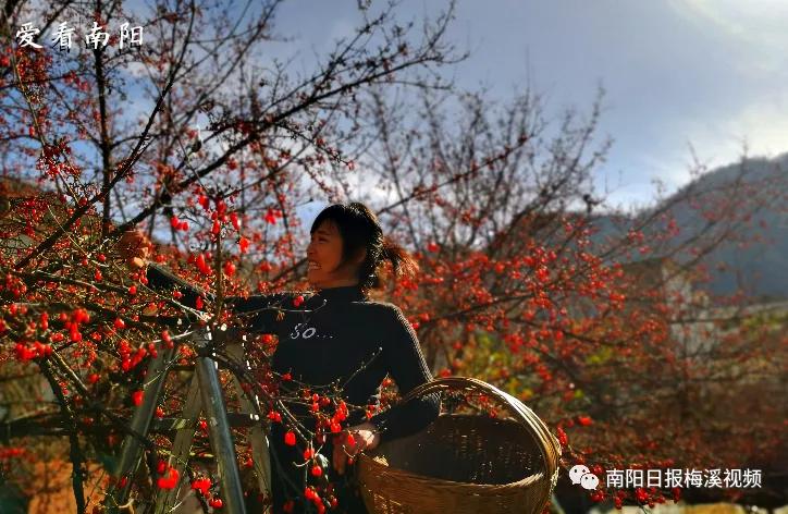 爱看南阳㉟你好2022，再见2021