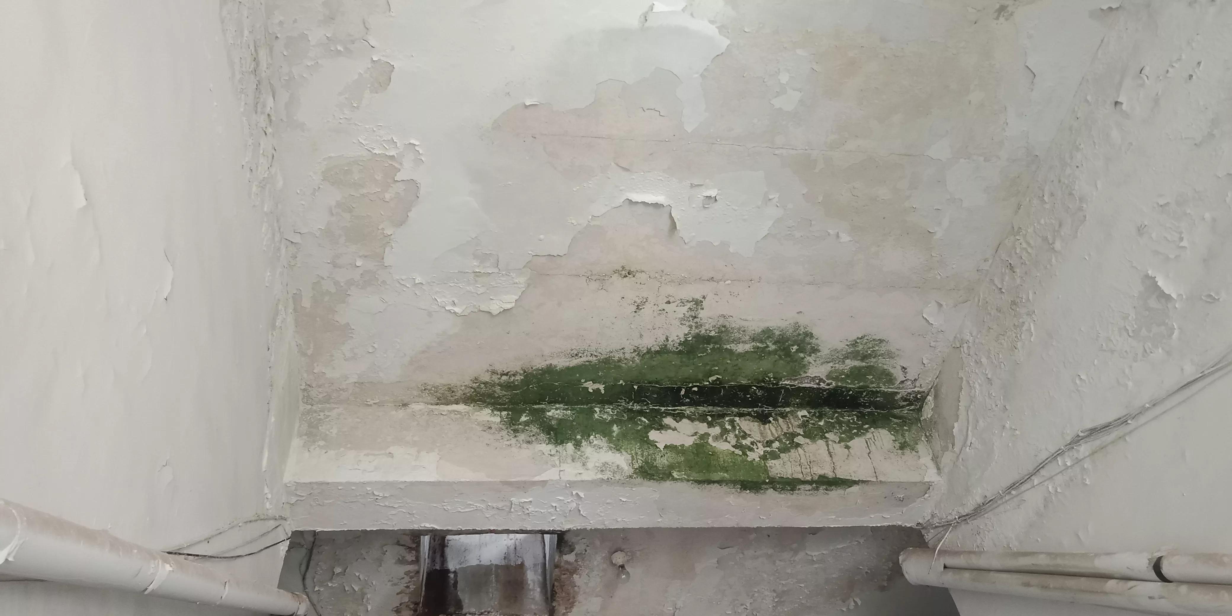 房屋漏水房顶需要怎么改造,旧房改造后楼顶漏水找哪里处理