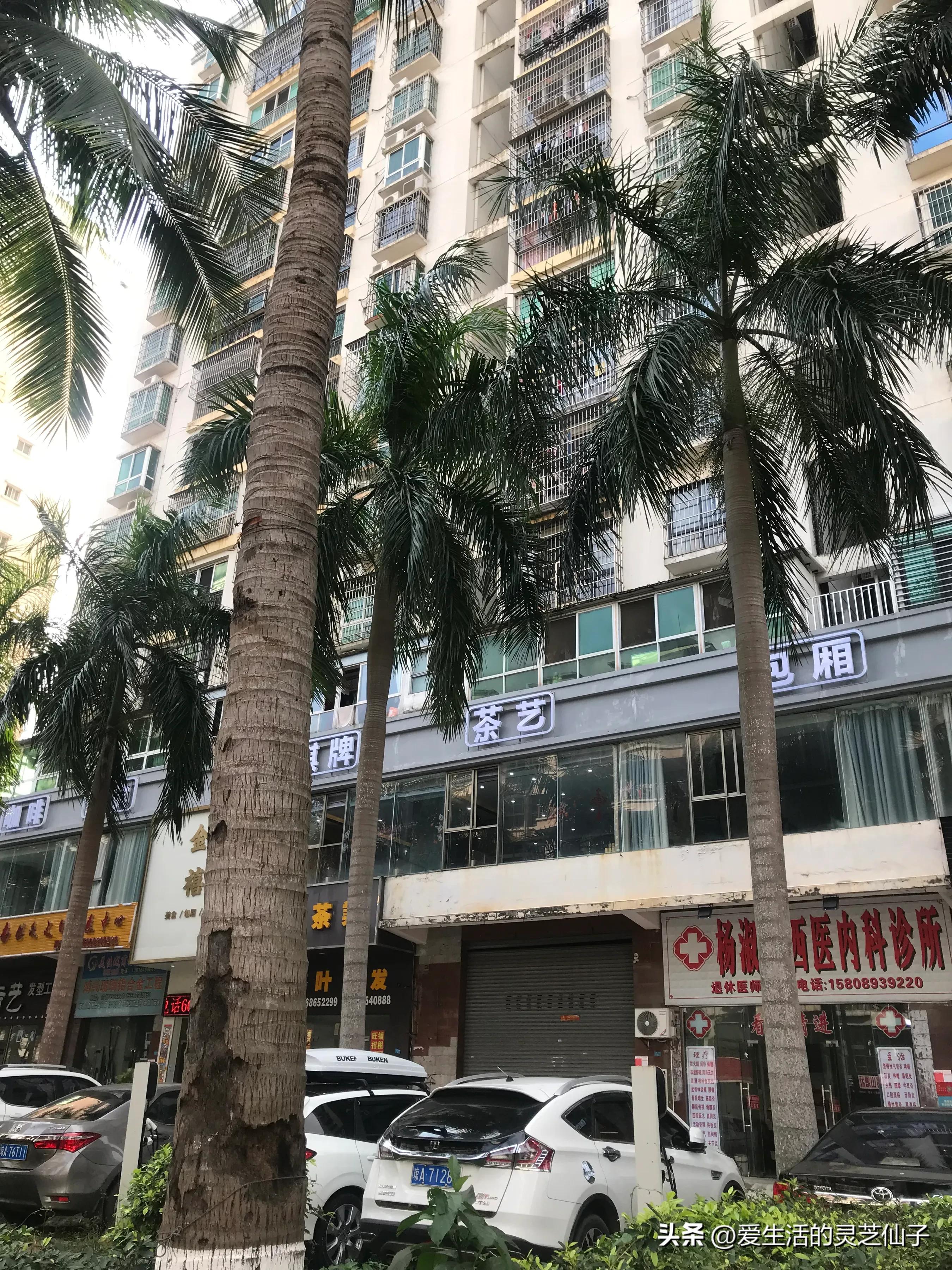 一个内陆人眼中的海南及海南人