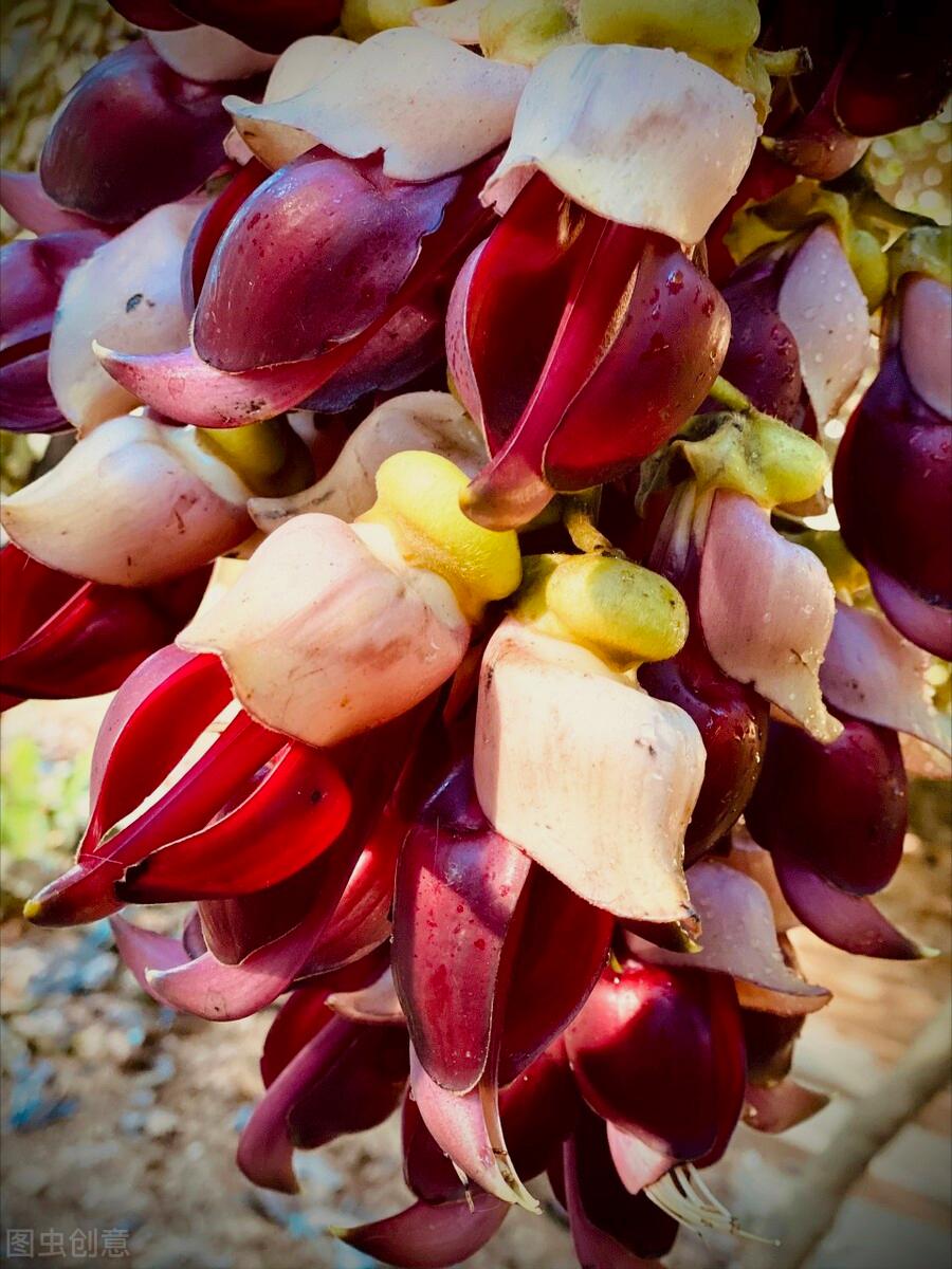 感恩母亲节祝自己节日快乐,母亲节感恩祝福词妈妈我爱你