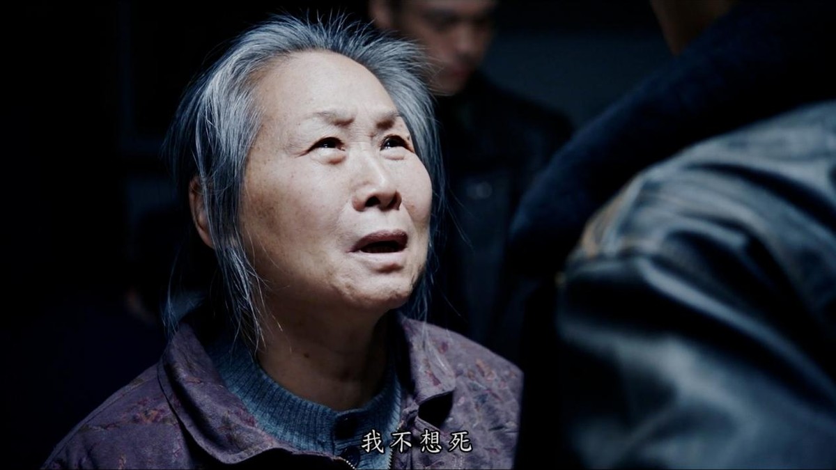 1995年票房最高的十部电影,最快破50亿票房电影