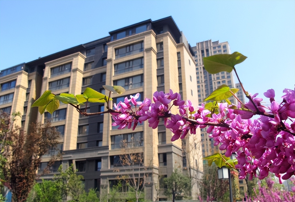 西安天地源物业总公司,西安口碑极佳的十大物业公司