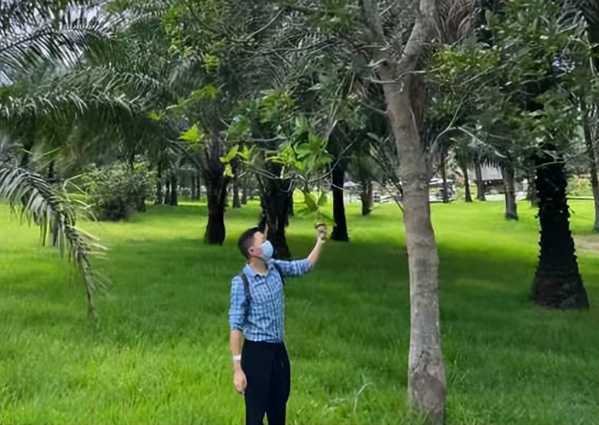 我，在非洲教汉语，这里一夫多妻制，有个学生竟是家里第37个孩子