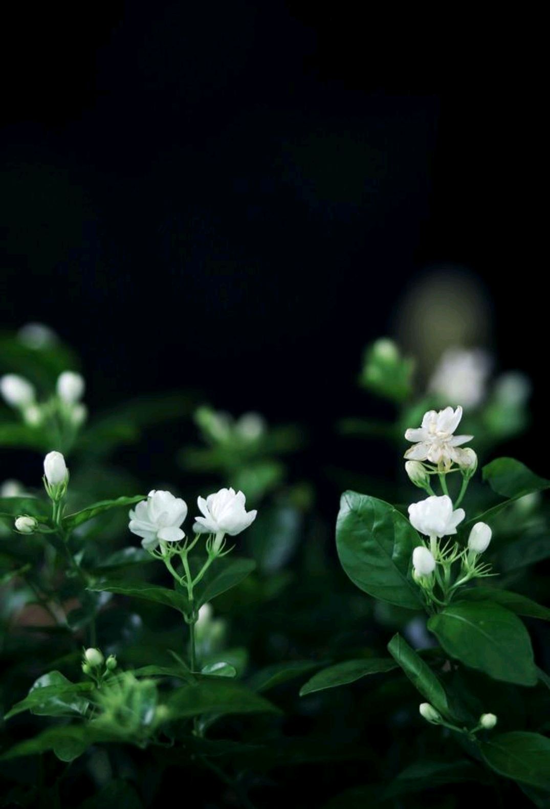 散文内心深处的孤独,散文放松心灵的美好时光