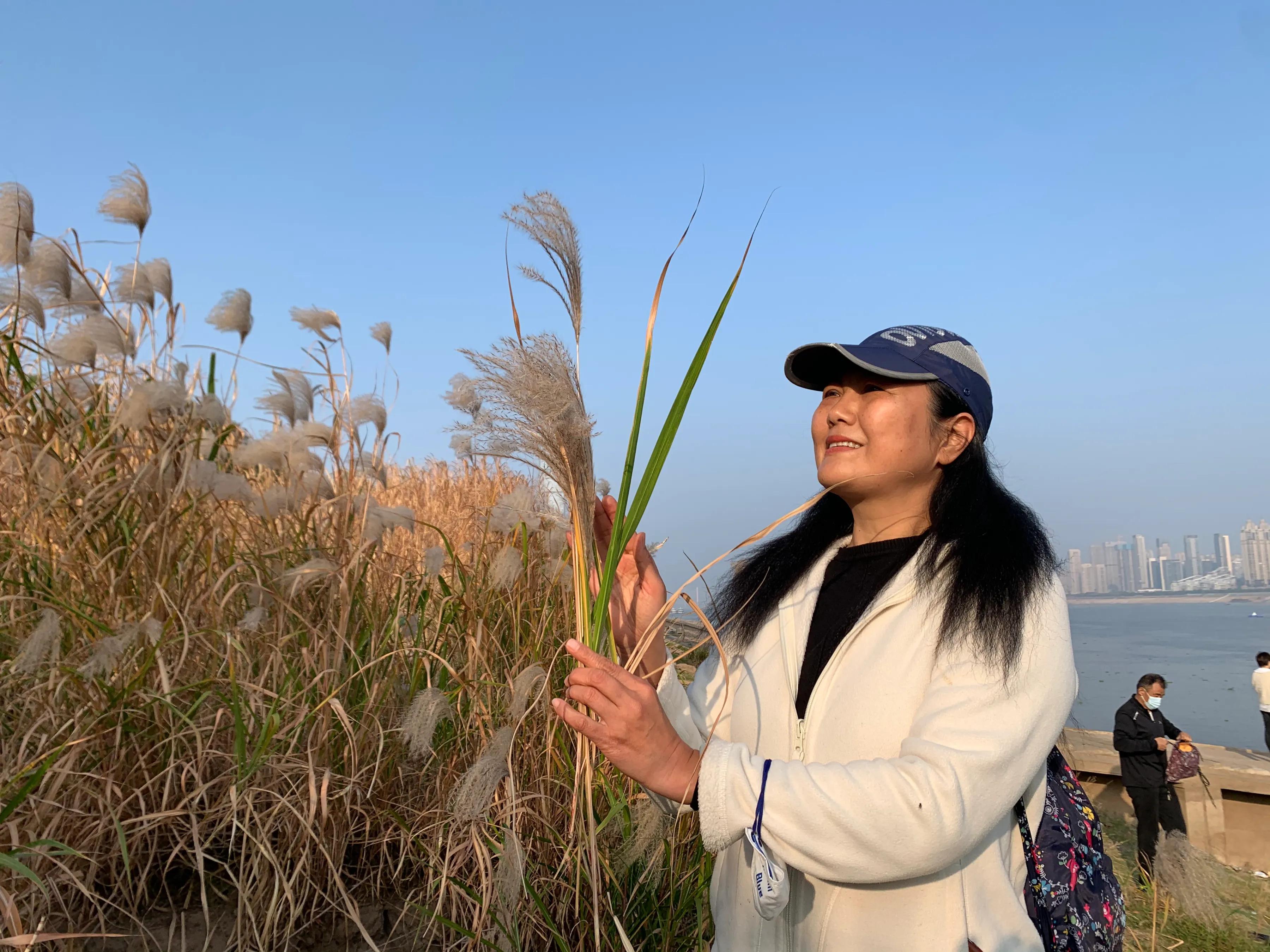 游记108,游记11集