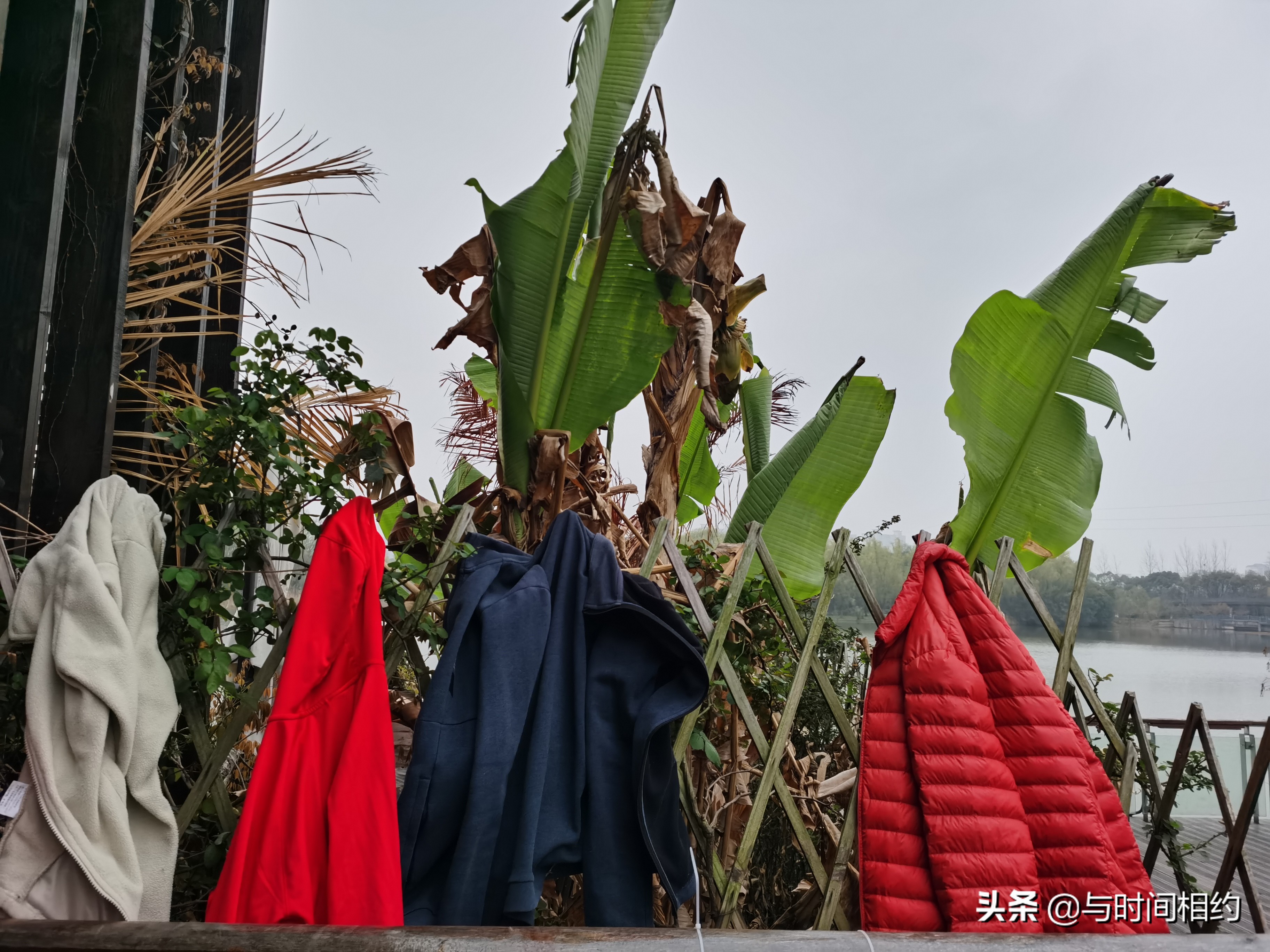 昆山森林公园跑步攻略,昆山哪里适合晨跑