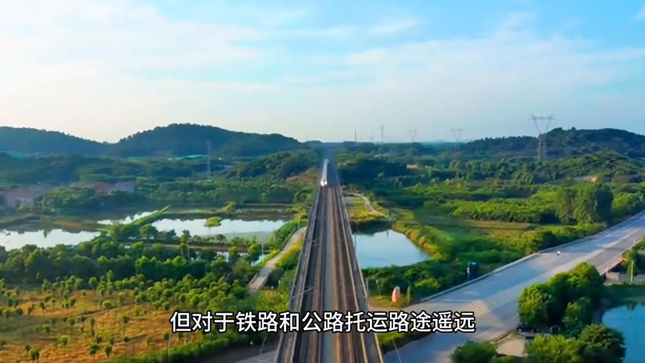 正规宠物托运公司有哪些品牌,正规宠物托运哪家专业