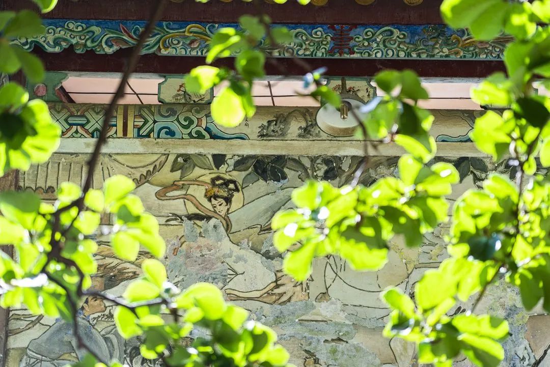 昆明昙华寺公园免费吗,乐享云南