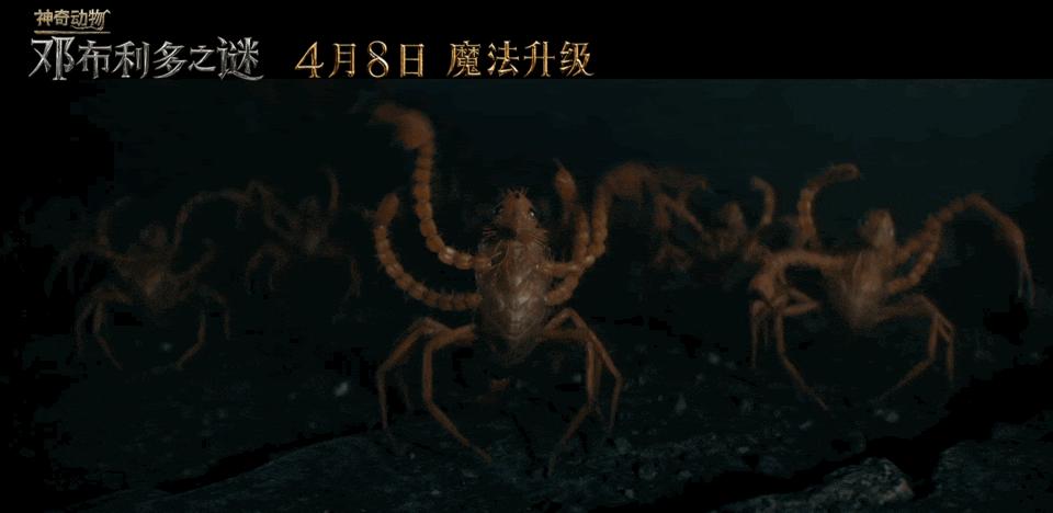 神奇动物之邓布利多之谜免费观看,神奇动物邓布利多之谜彩蛋