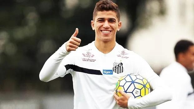 巴甲联赛新星简介,历届巴甲联赛最佳射手