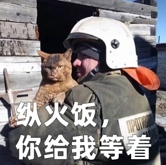 瑞士猫和俄罗斯猫,俄罗斯猫西伯利亚猫