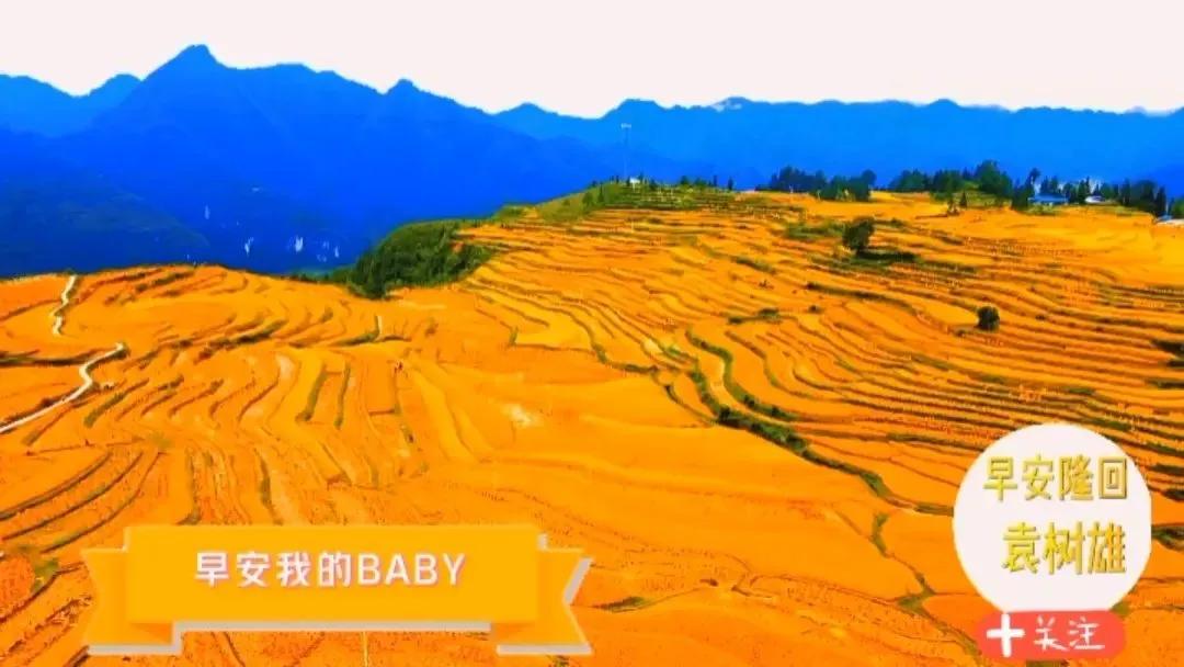 时隔多年再看足球比赛,最近怎么这么多足球比赛