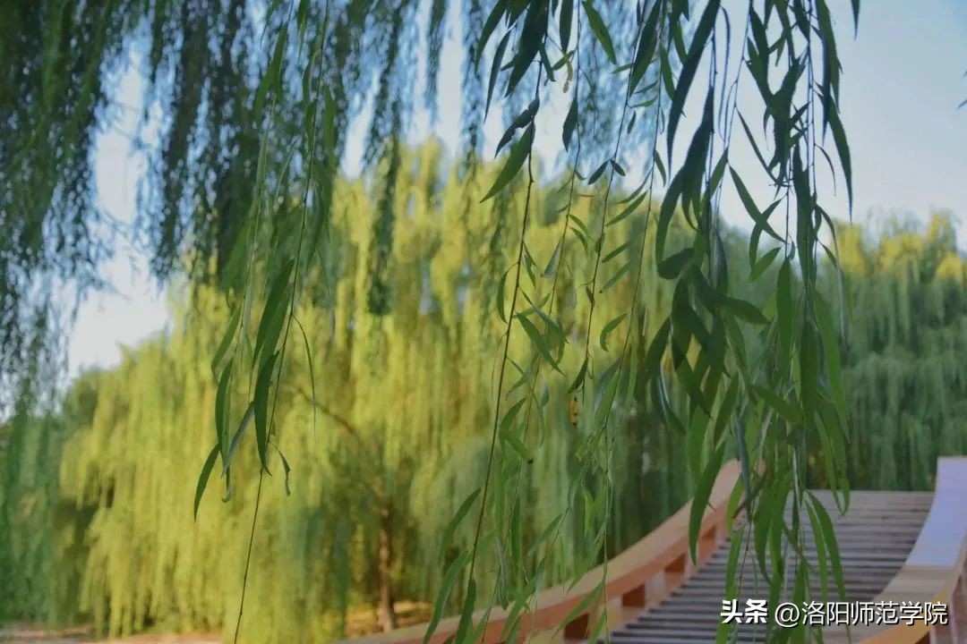 定格在记忆中的画面诗,定格的诗句