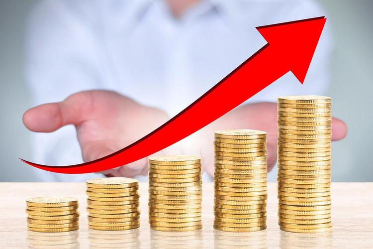 格力企业财务风险分析与防范论文,格力财务管理制度分析