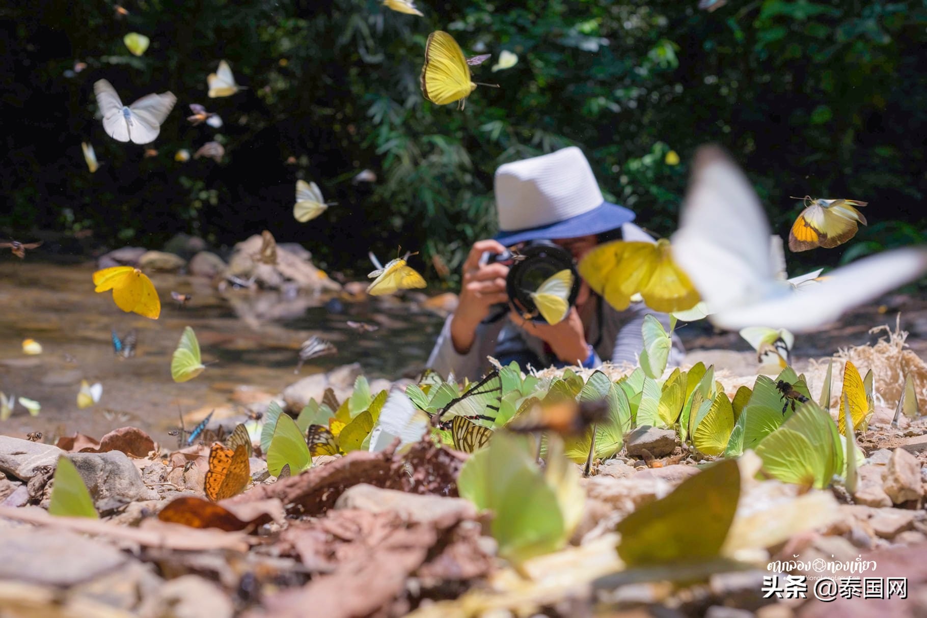 泰国岗卡章国家公园,泰国岗卡章图片