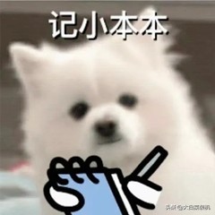 买手机需要知道这些？同样是系统，OS和UI到底有什么不一样