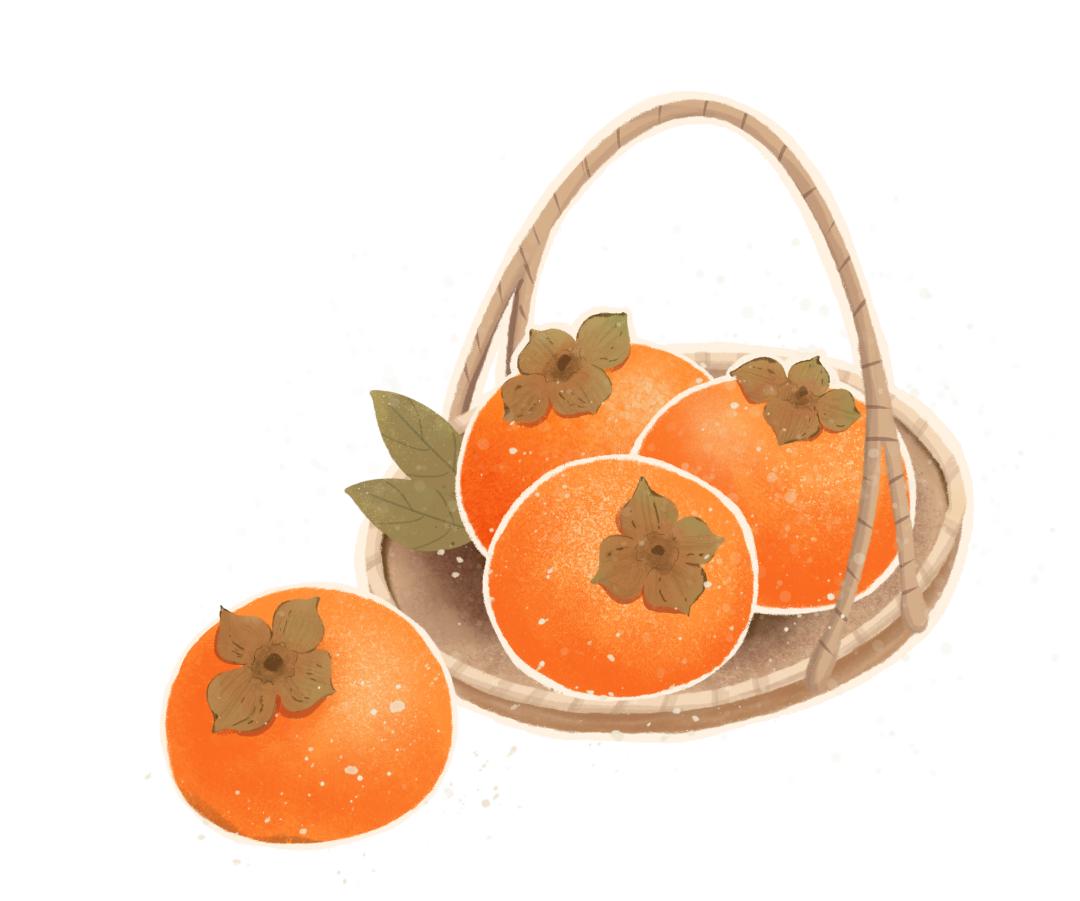 二十四节气秋分养生指南,二十四节气养生法秋分篇