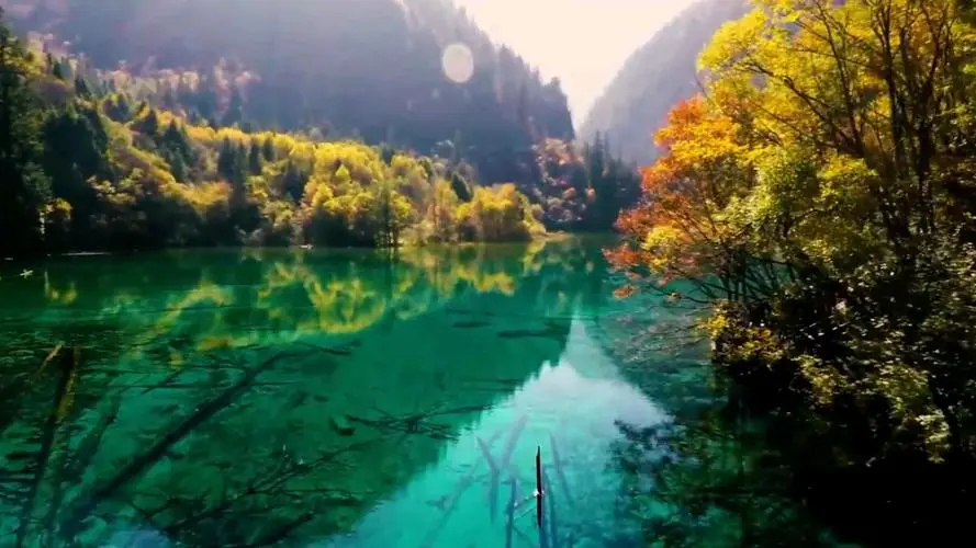 苏州6平米酒店,苏州园区婚宴酒店排名