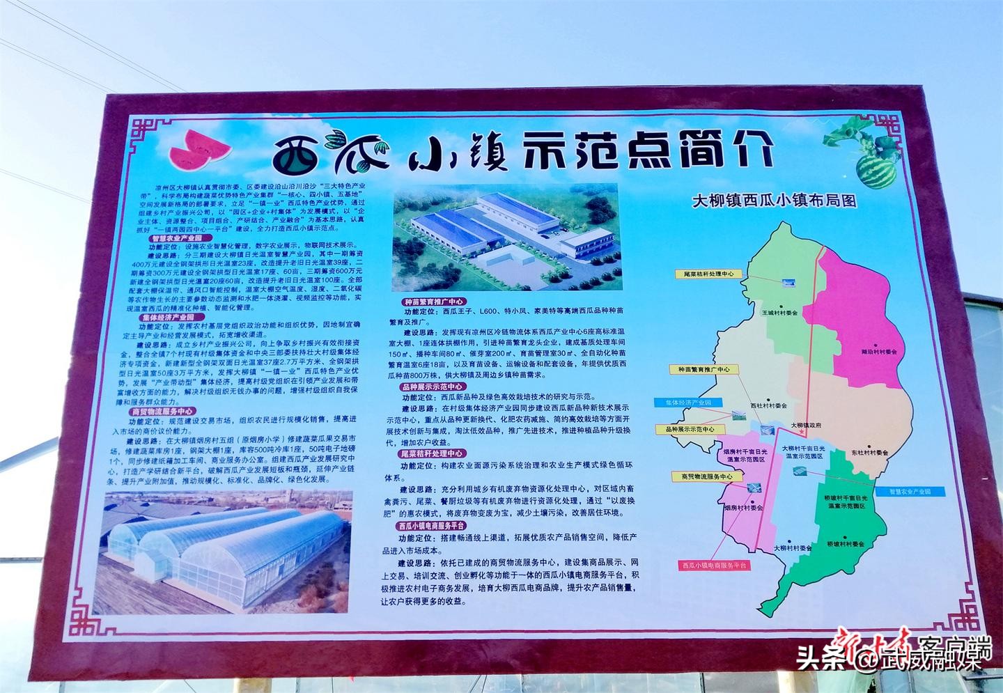 西瓜种植助力农民们增收致富,种植西瓜带动脱贫致富