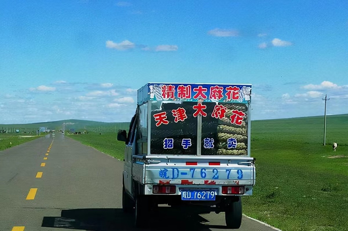 天津大麻花真的是人贩吗,天津麻小花