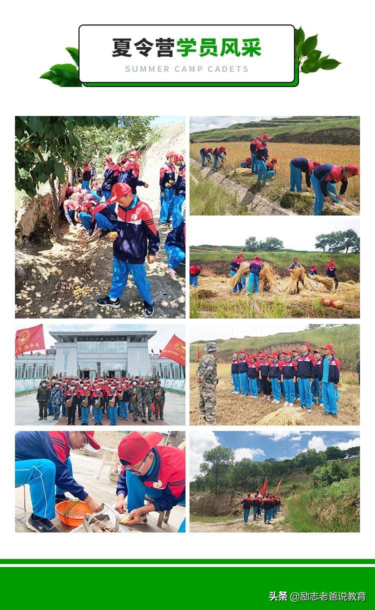军事夏令营14天安排表,训练最狠的军事夏令营