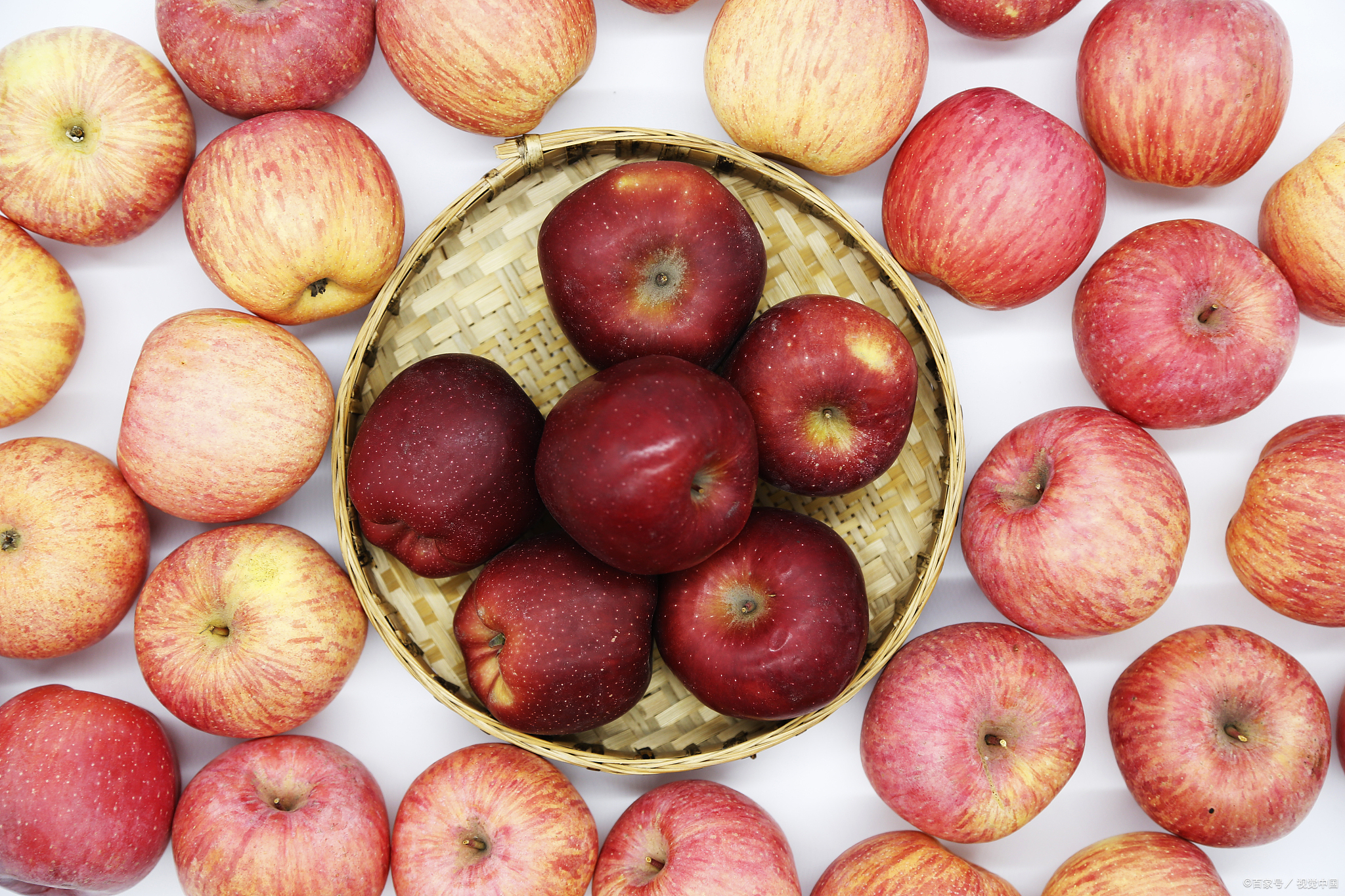 狗狗防癌的最佳方法,想要狗狗健康长寿这些食物少不了