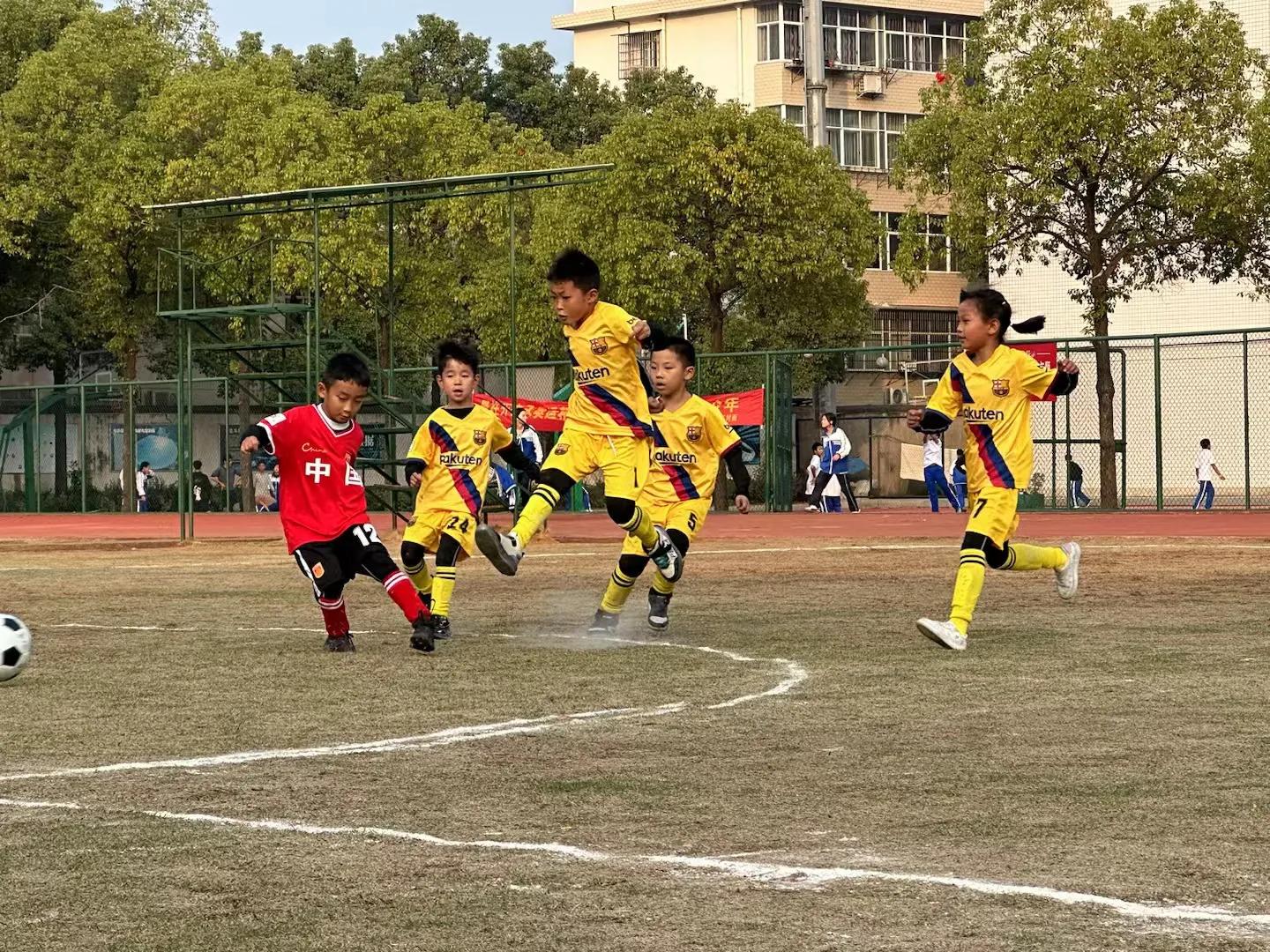 城固县文川镇文星小学,苏州高新区文星小学