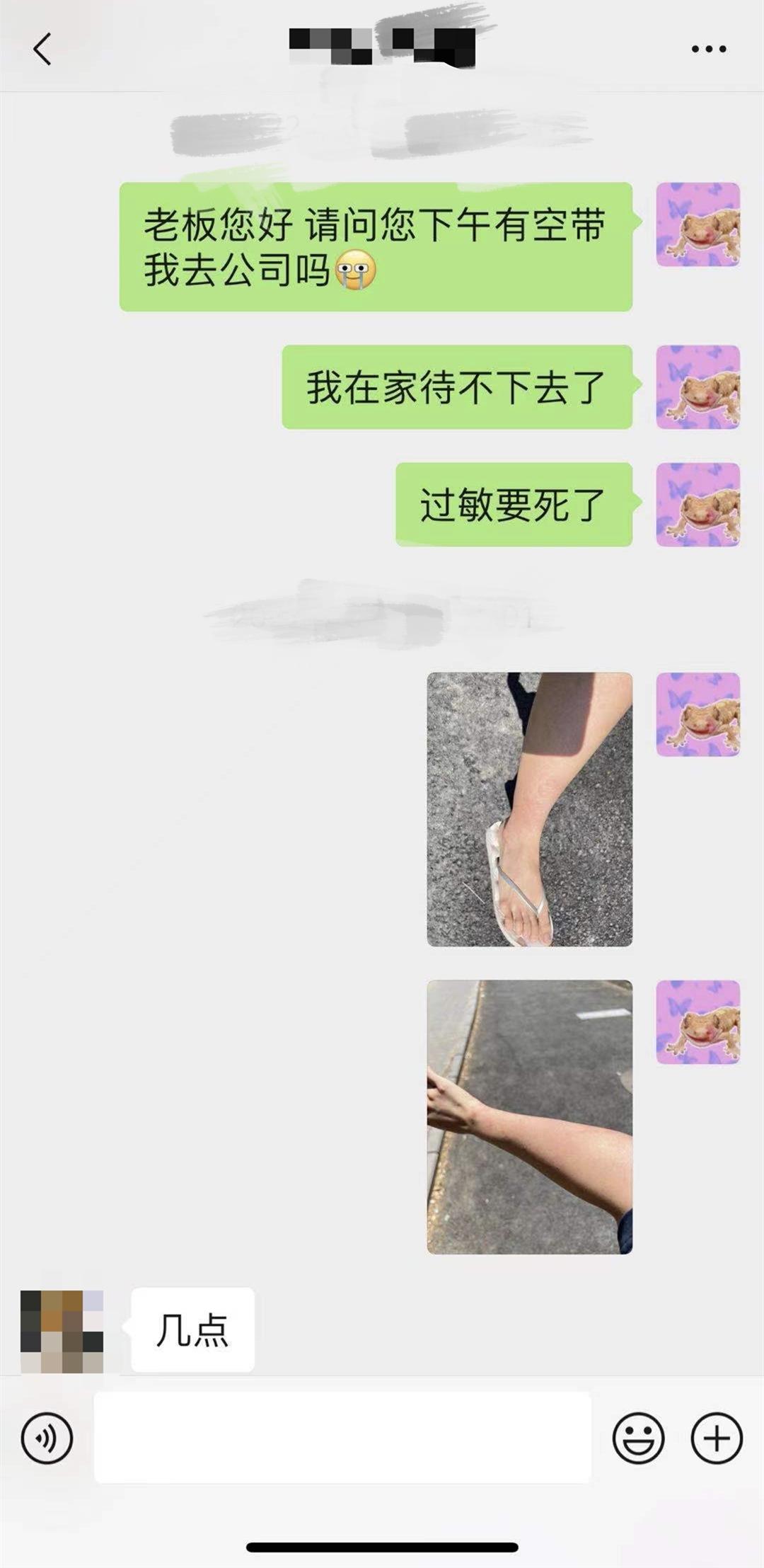 养猫过敏怎么解决,养猫过敏怎么办教你一招