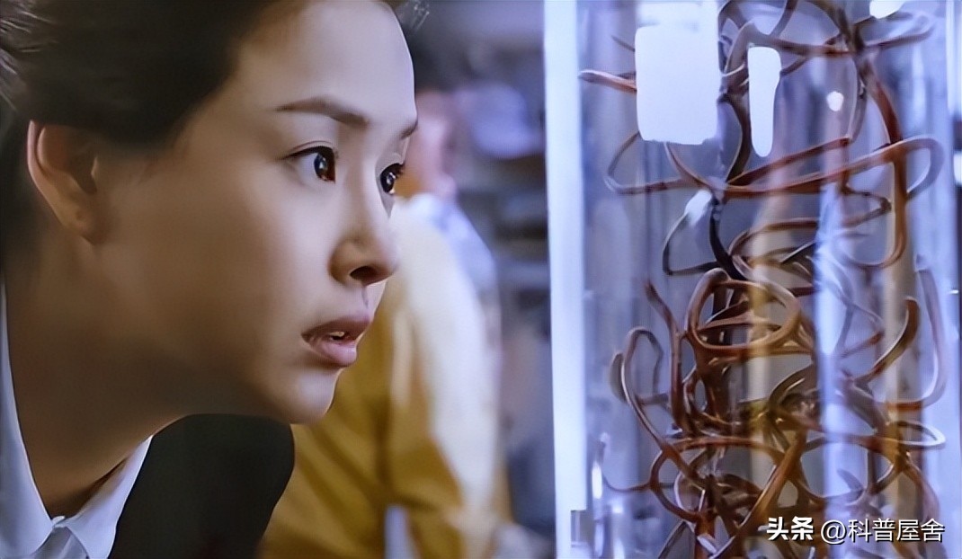 控制大脑的寄生怪物,控制宿主的恐怖生物