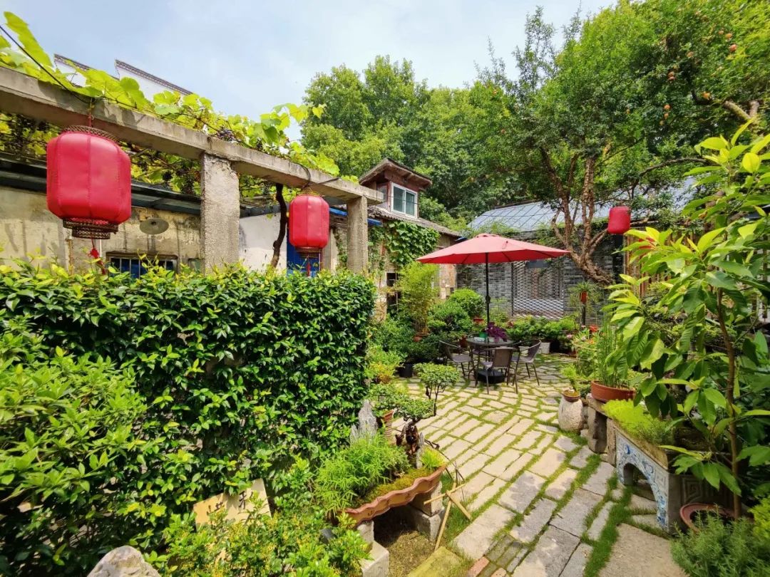 幸福秦淮一路走来