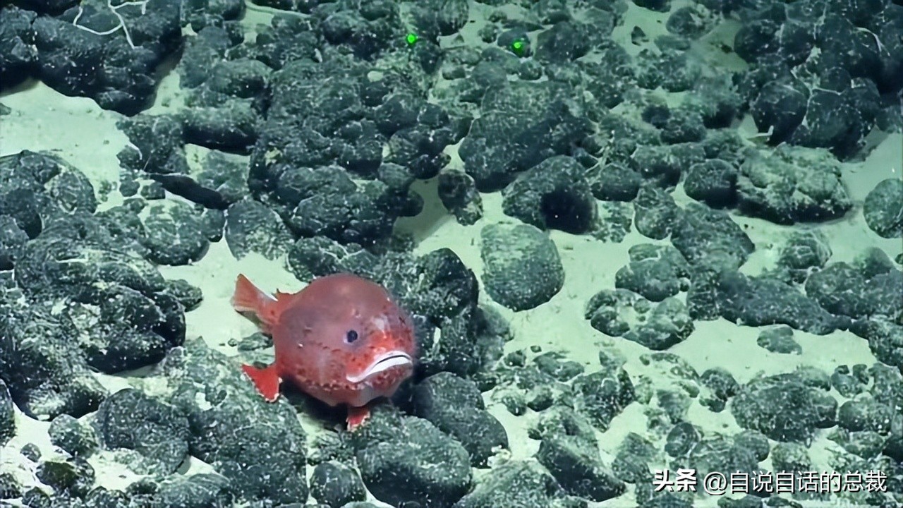 潜入深海寻找宝藏,潜入海底最深处你会发现什么