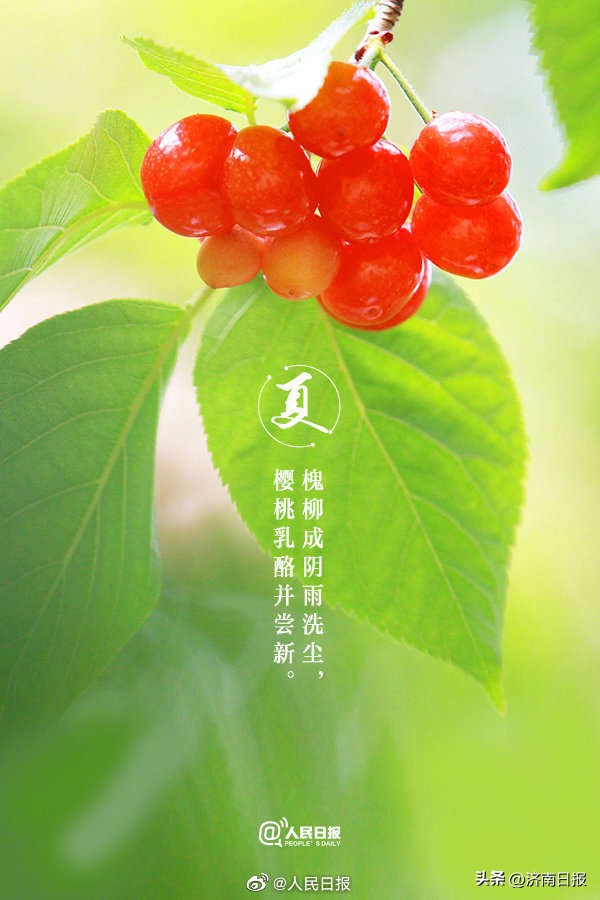 收藏当夏日美景遇上古诗词,10首经典夏日古诗词