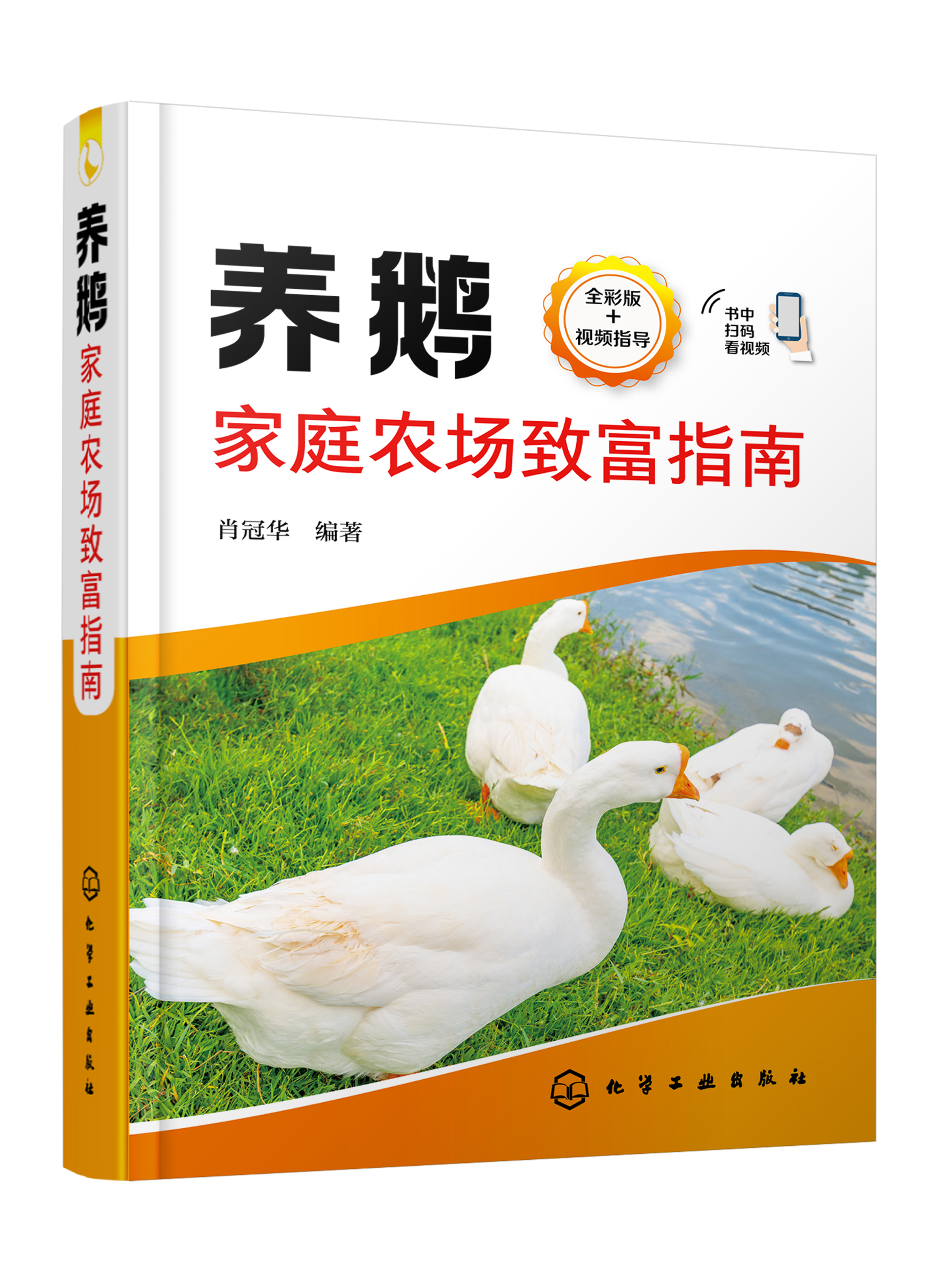 养鹅家庭农场致富指南：建设一个养鹅家庭农场需要多少启动资金？