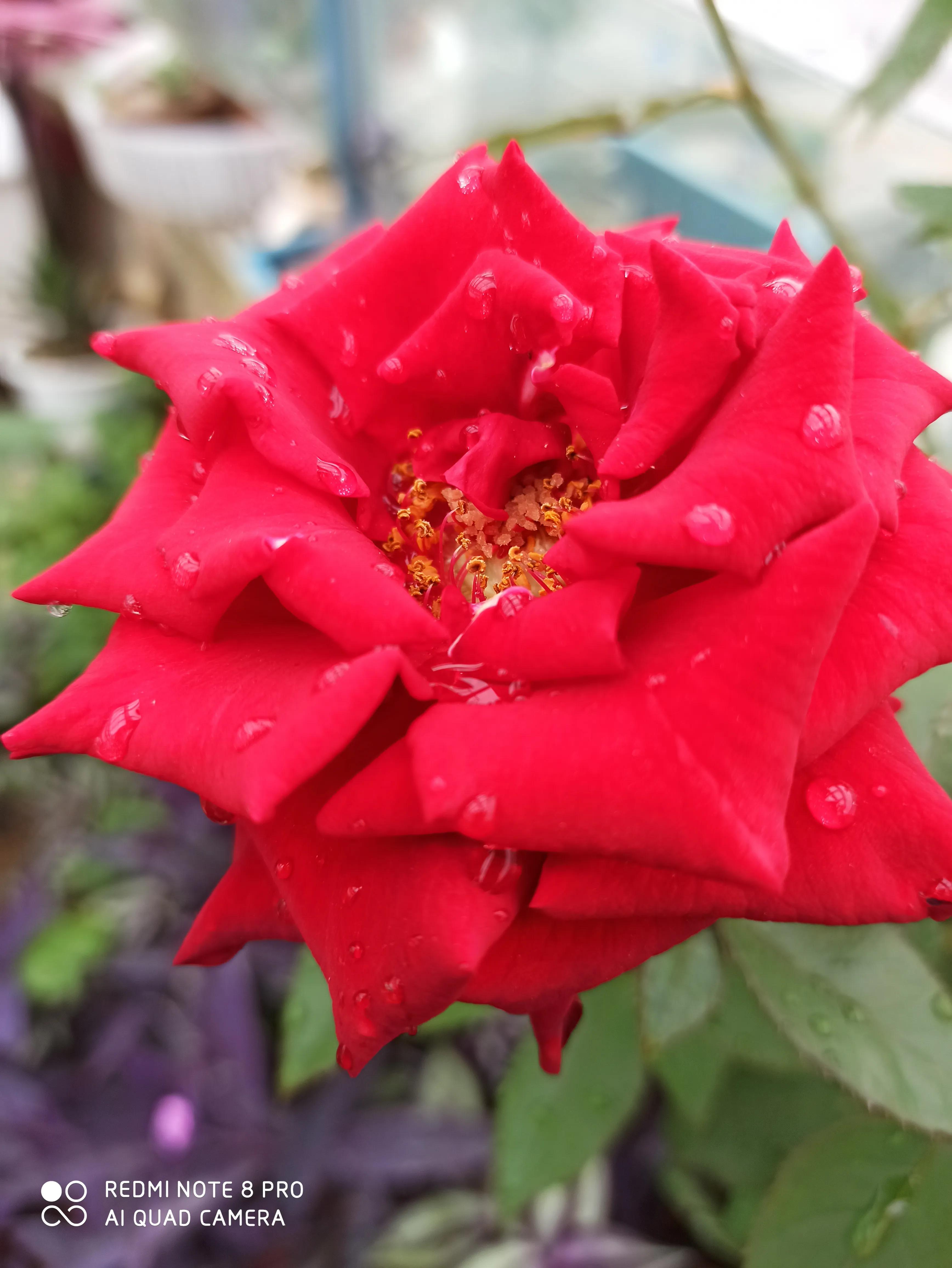 原创：83一3《修伞》