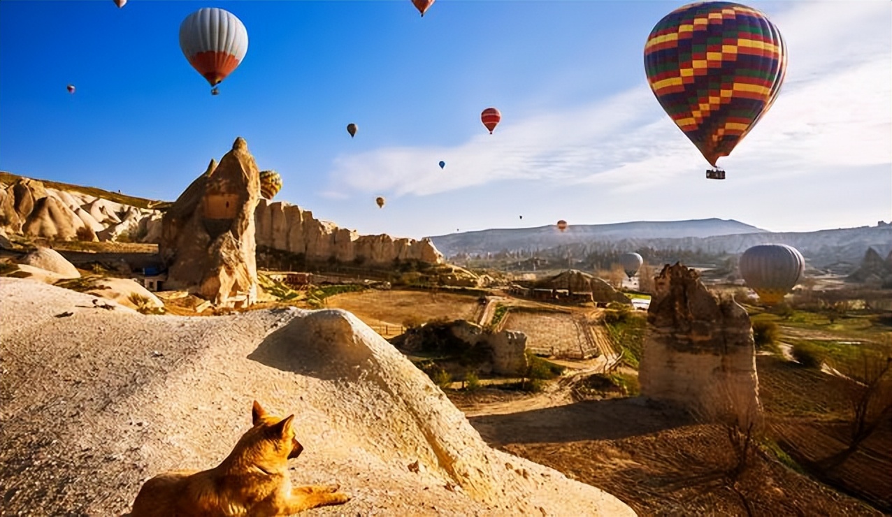 吴少聪在土超哪个队,吴少聪加盟土超