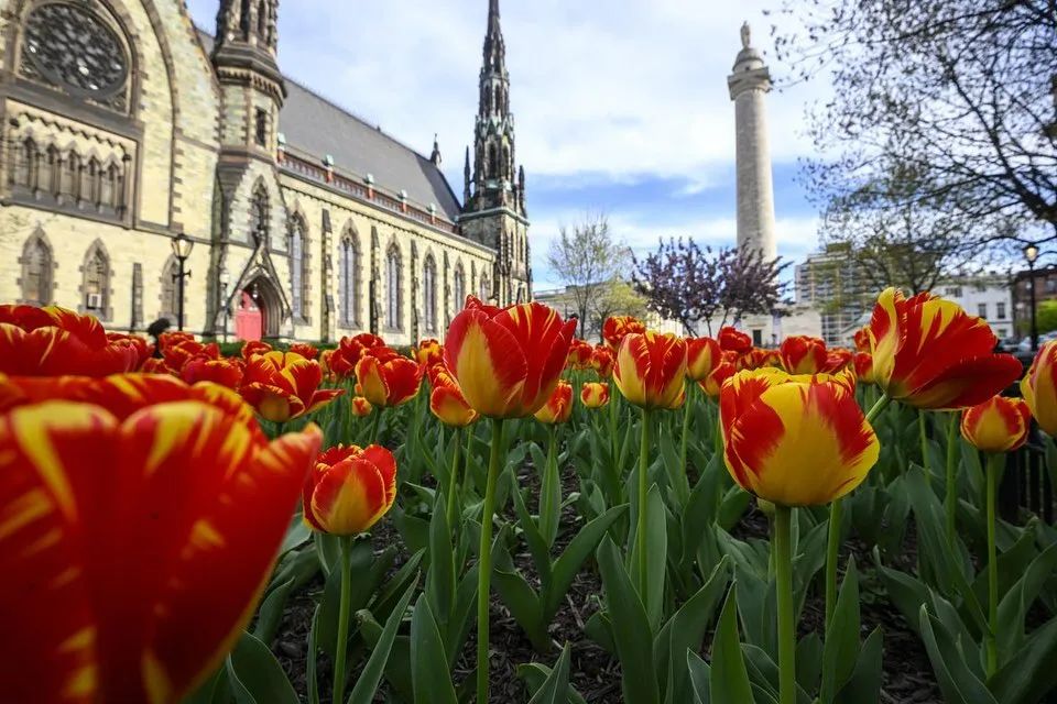 全美学习最刻苦的20所高校,美国最牛十大名校大学
