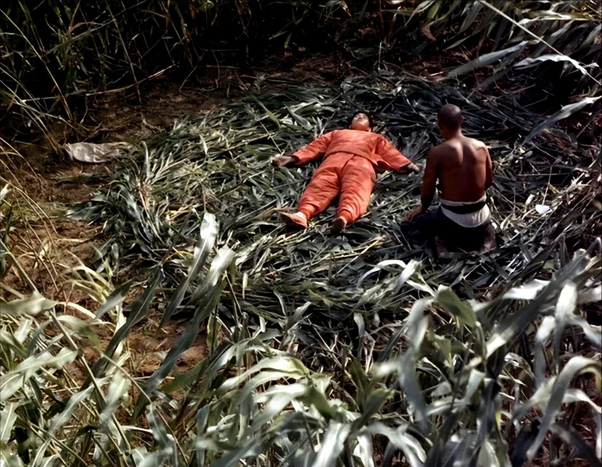 中国最优秀的一部电影推荐,中国七部最值得看的电影