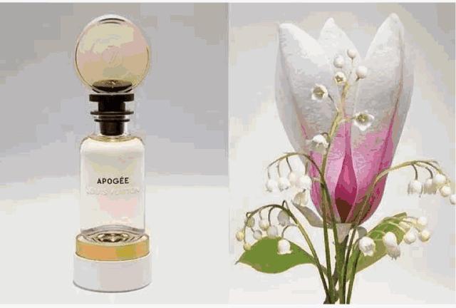 lv历年限定系列,lv这个衣服怎么样