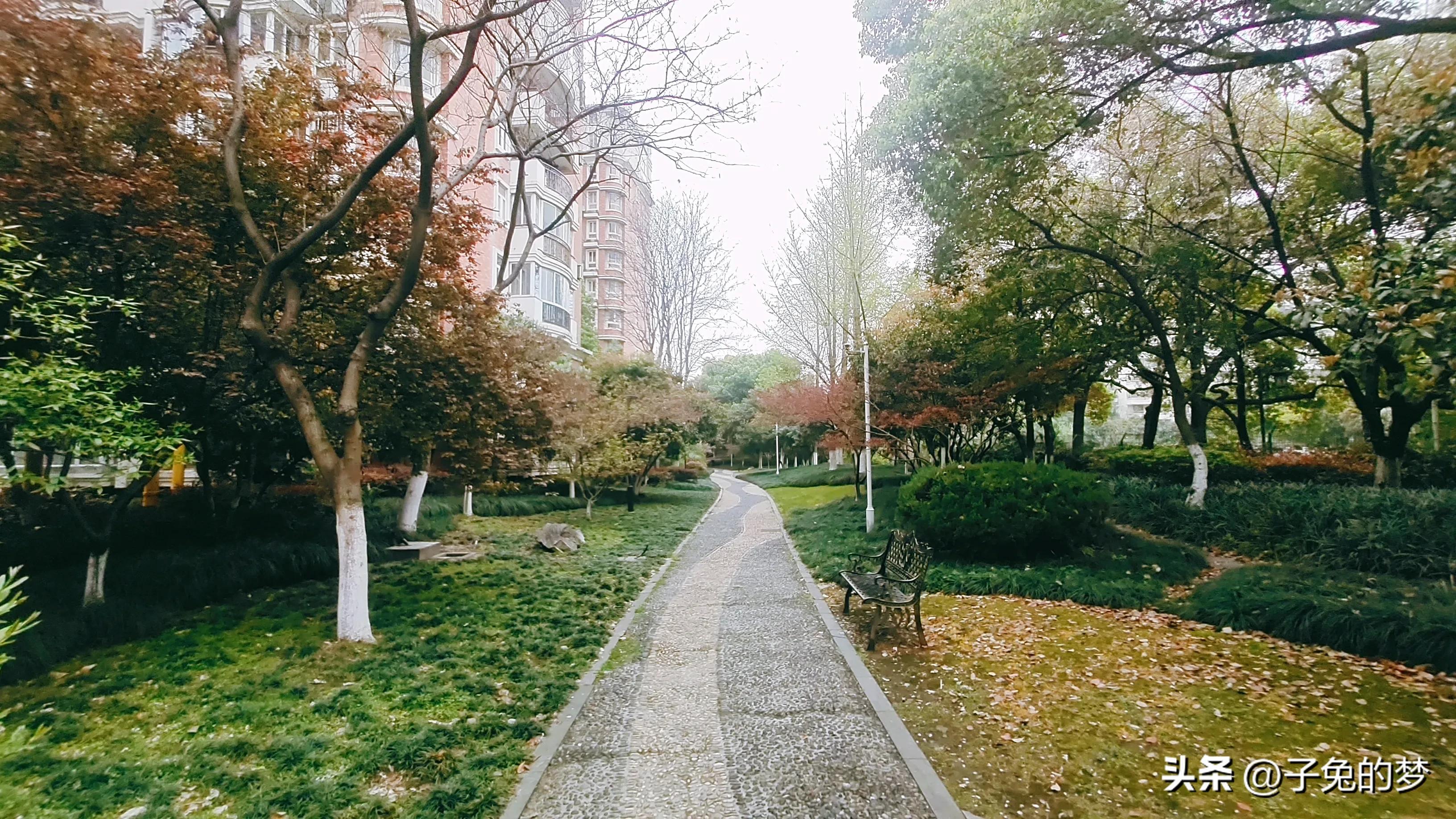 杭州一小区让业主群炸锅的一幕,某小区业主群聊天记录曝光