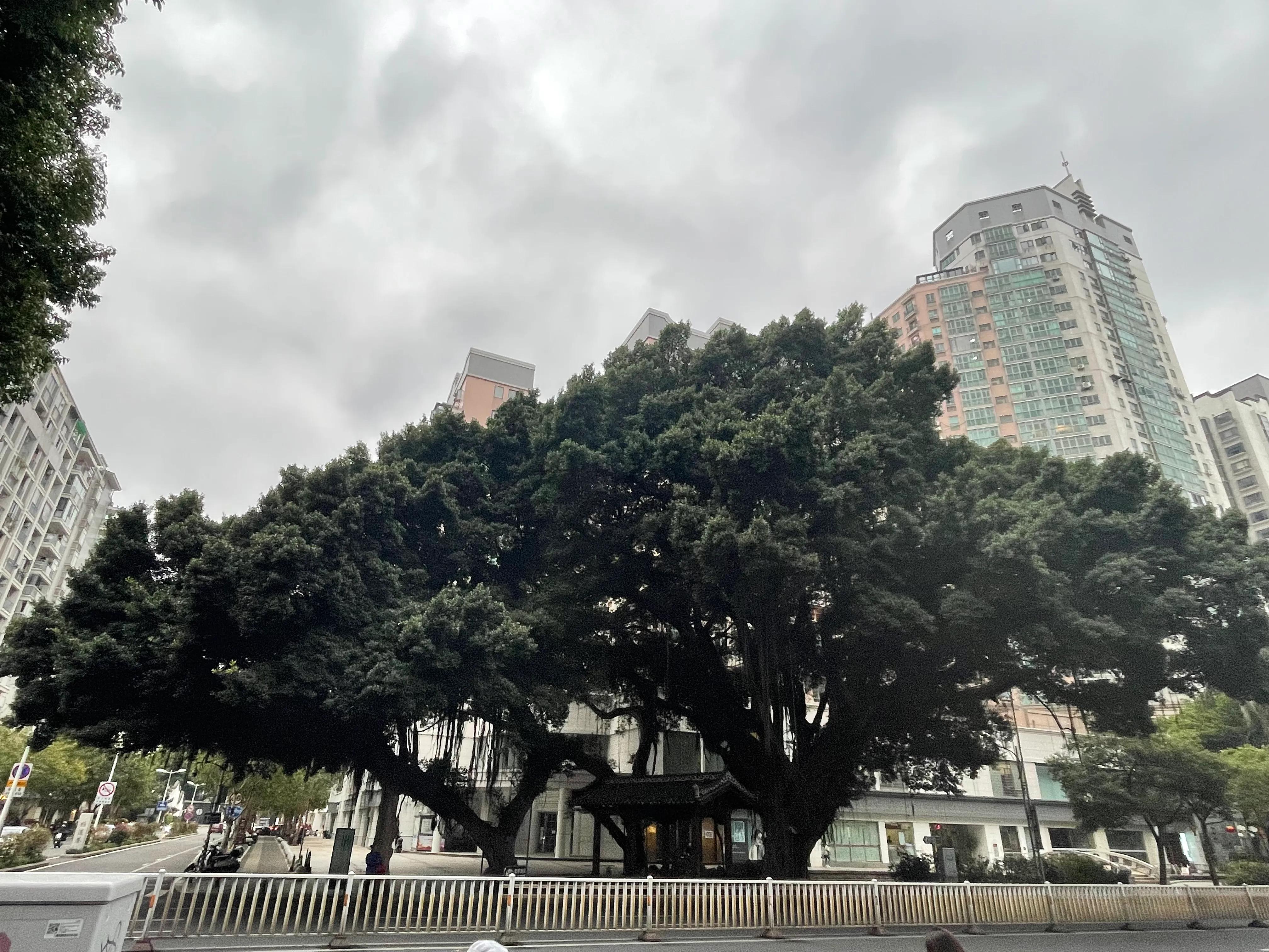 三坊七巷林觉民和冰心故居讲解,福州三坊七巷冰心故居