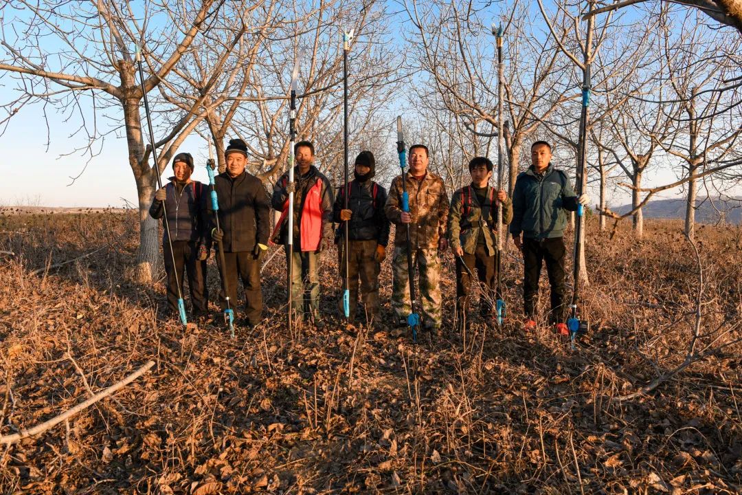 迎接党的20大美术作品,喜迎二十大乡村摄影展