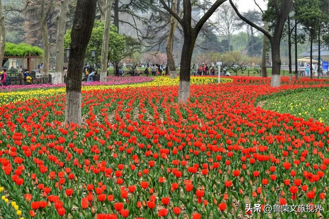 西安旅游攻略大全坐地铁,西安地铁旅游攻略三日游
