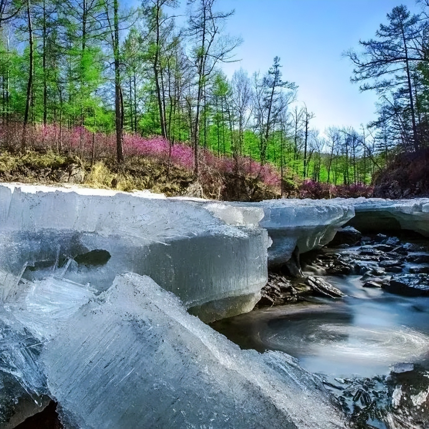 向北向北！|“美”在内蒙古