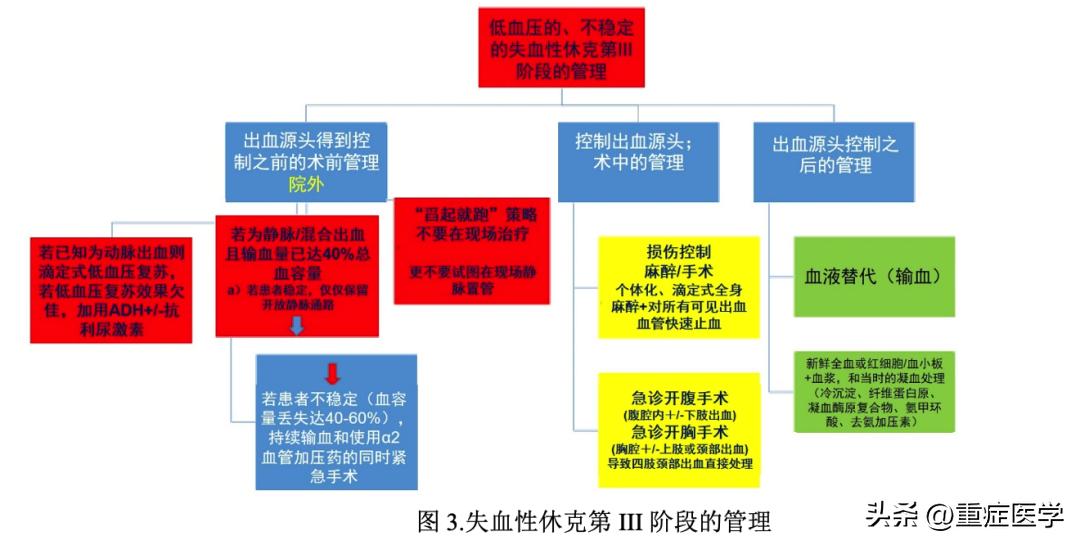 失血性休克的该管理：生理学方法、时机和策略