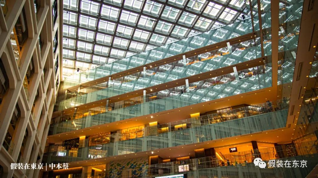 365张照片回顾,365张相片