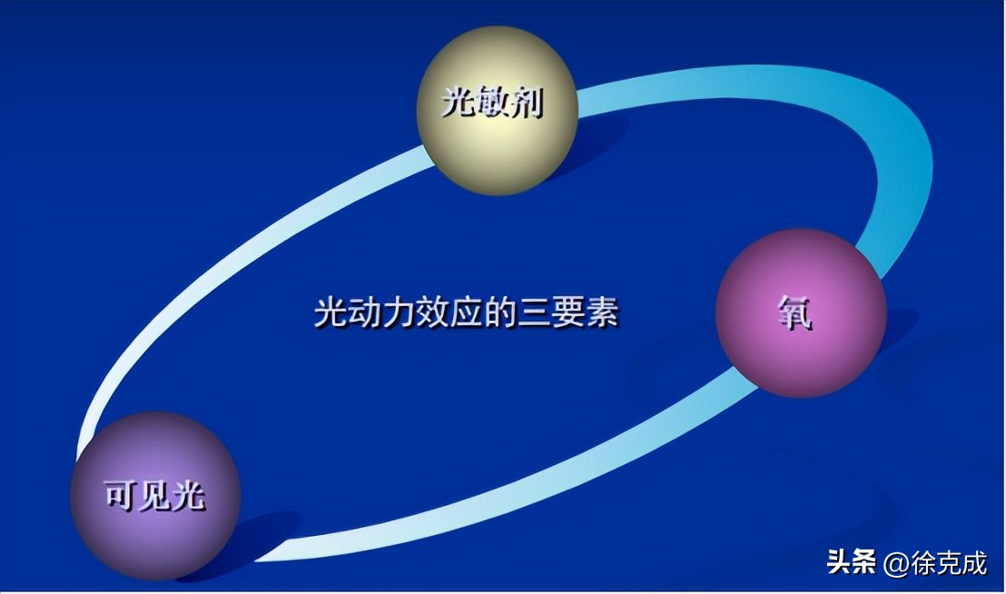 徐克成大讲堂,徐克成谈癌症克星