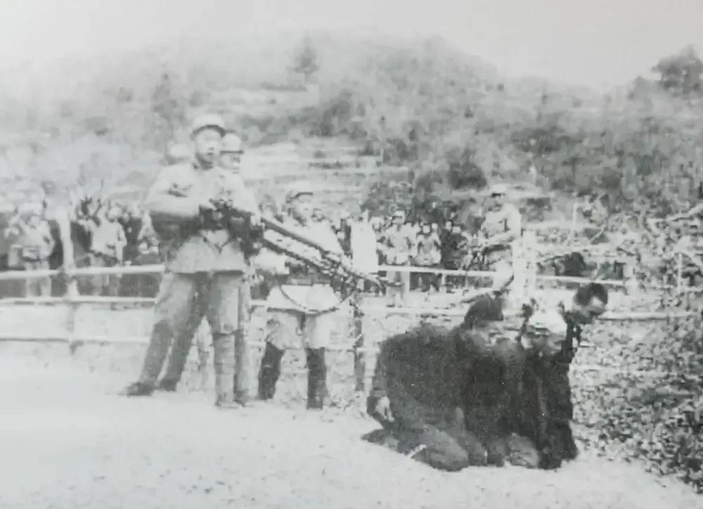 抗联英雄谢文东的故事,谢文东土匪有多少人