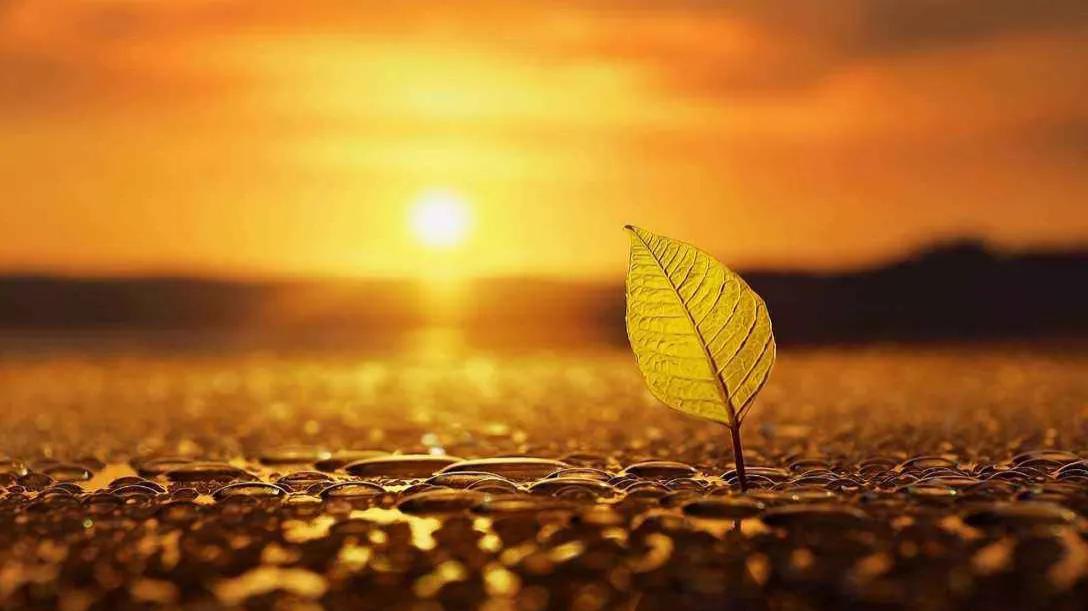 一个农民18个月5万到1.2亿，到底有什么学习和借鉴的智慧